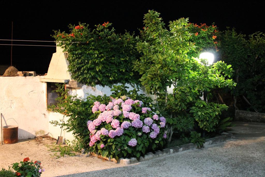 알베르벨로 La Casa Del Nonno B&B 외부 사진