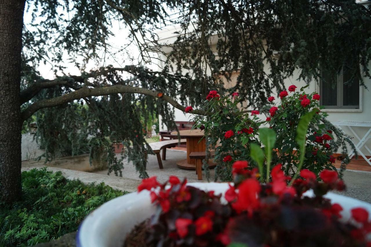 알베르벨로 La Casa Del Nonno B&B 외부 사진